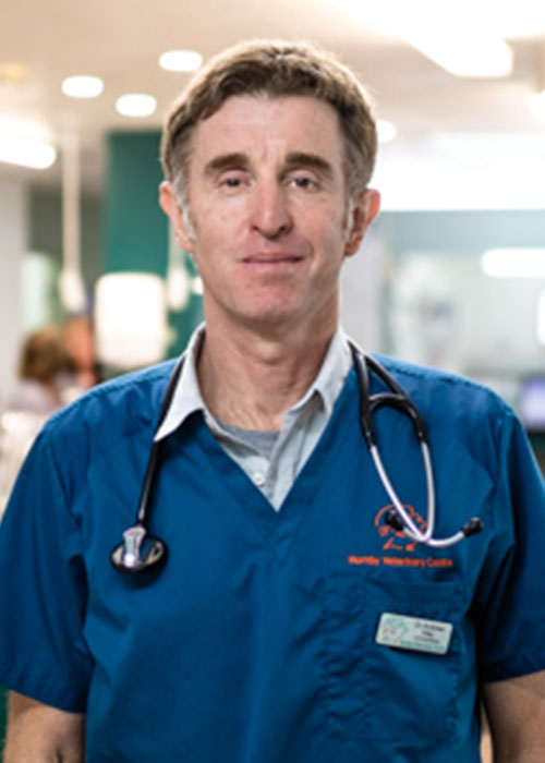 Dr Andrew Hay