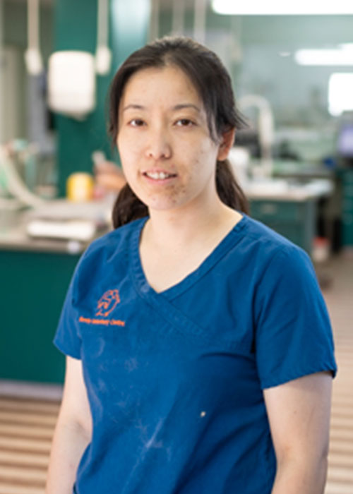 Dr Asumi Brens